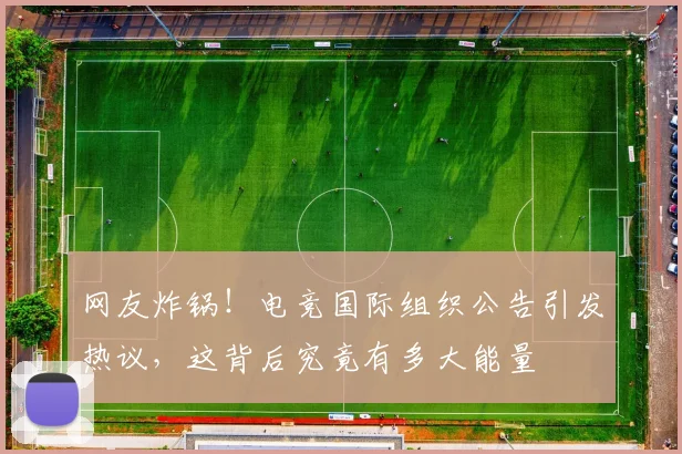网友炸锅!电竞国际组织公告引发热议,这背后究竟有多大能量