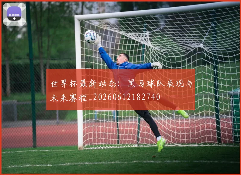世界杯最新动态:黑马球队表现与未来赛程_20260612182740